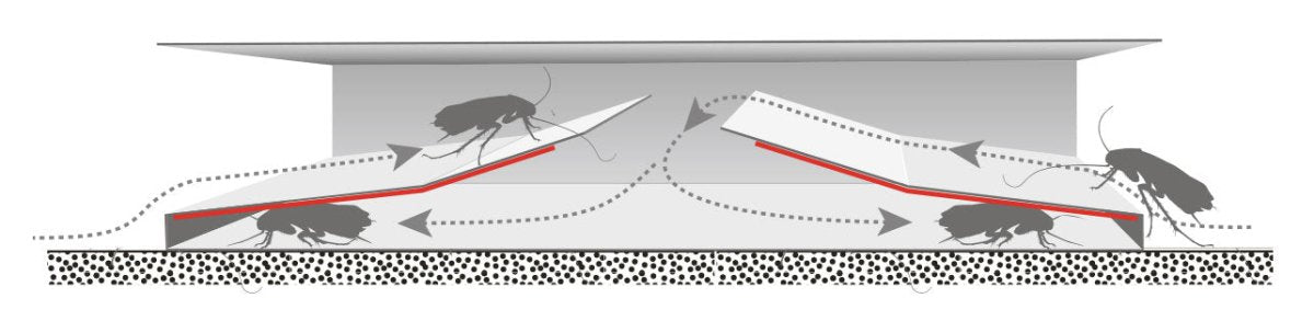 Piège à cafards - Grand modèle - Mon Habitat Sain