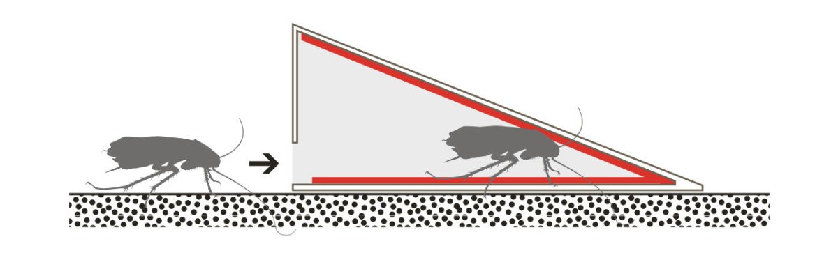Piège à cafards - petit modèle prisme - Mon Habitat Sain