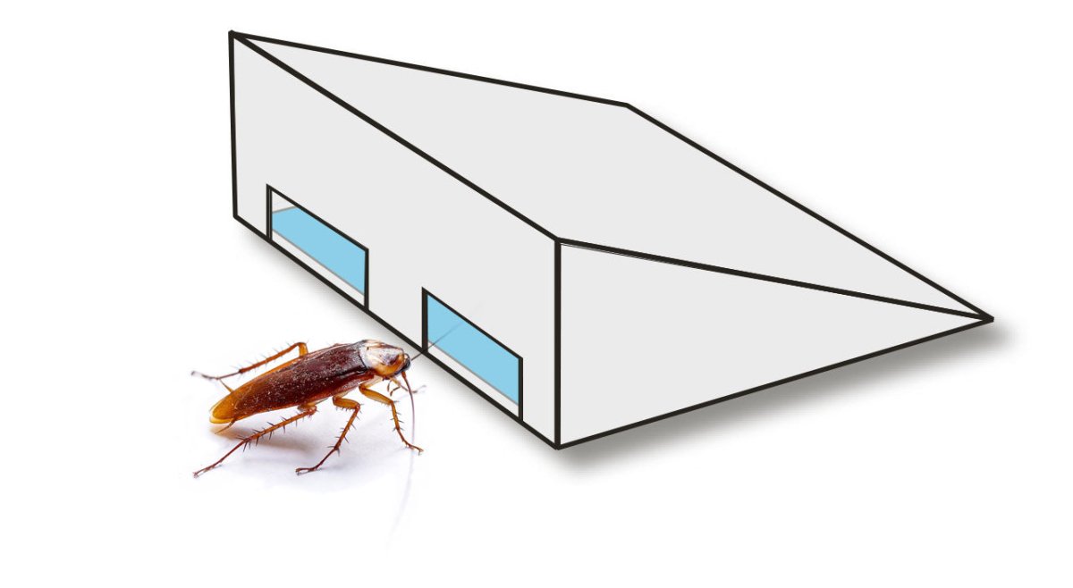 Piège à cafards - petit modèle prisme - Mon Habitat Sain